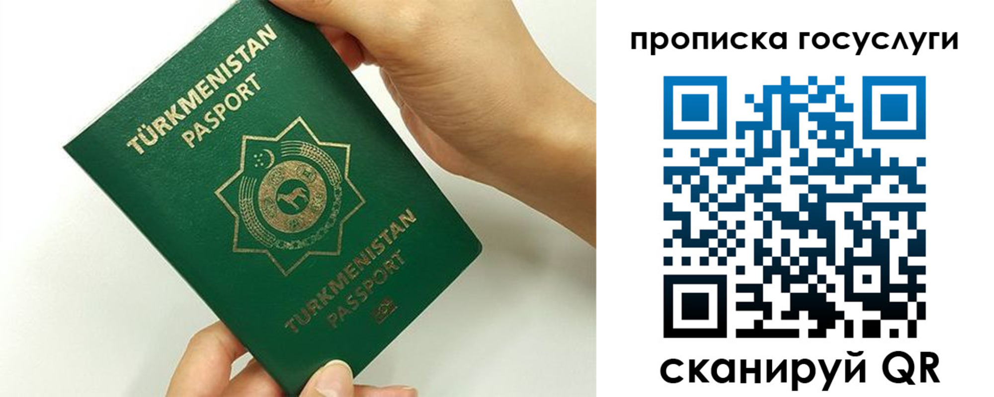 временная регистрация собственник в Светлогорске