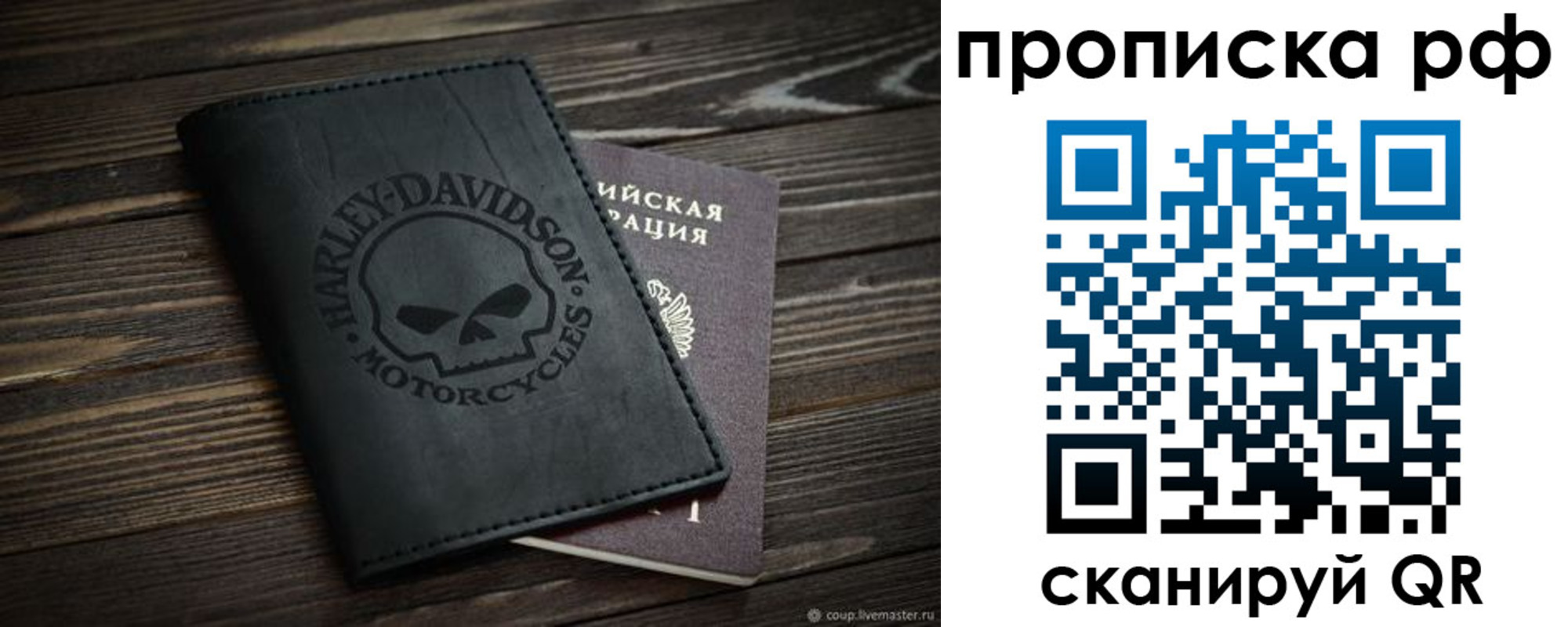 прописка от собственника в Светлогорске